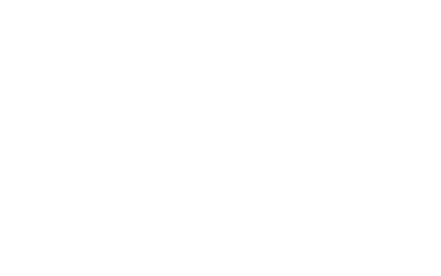 ModularWise logo